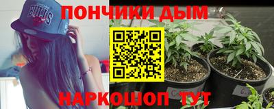крисы Анапа